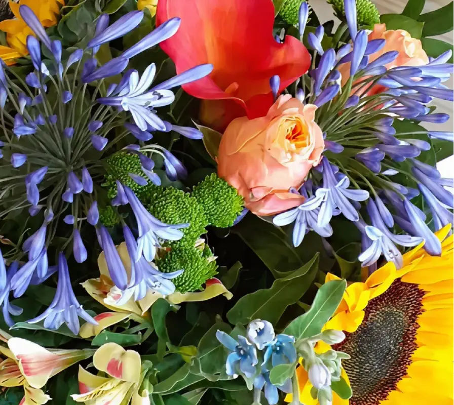 Le Jardin Dhourtin Fleuriste A Hourtin Bouquets De Saison Le Jardin Dhourtin Fleuriste A Hourtin Bouquets De Saison