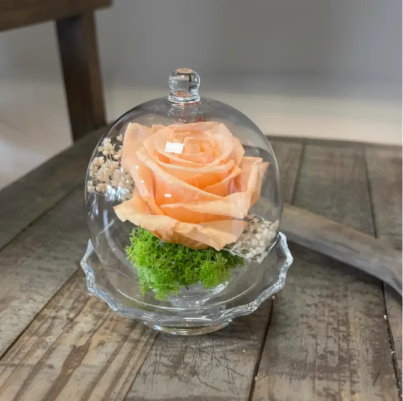 Le Jardin Dhourtin Fleuriste A Hourtin Les Cloches En Verre Le Jardin Dhourtin Fleuriste A Hourtin Les Cloches En Verre